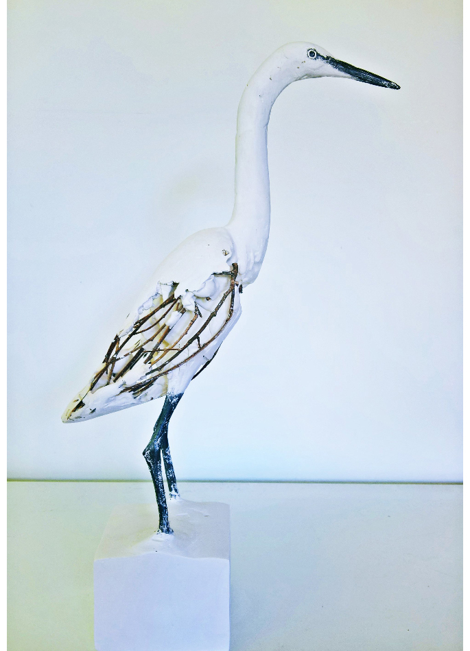 herve-bedouin-little-egret-20