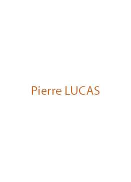 pierre-luca-artiste-moderne